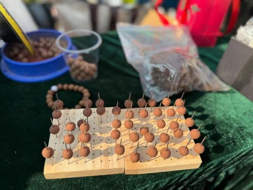 今日小雪，宝山健康庙会引领养生新潮流 中医美式咖啡与中药手串共舞