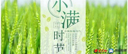 泰安市中医医院保健专家 为您解读中医养生之道与保健服务